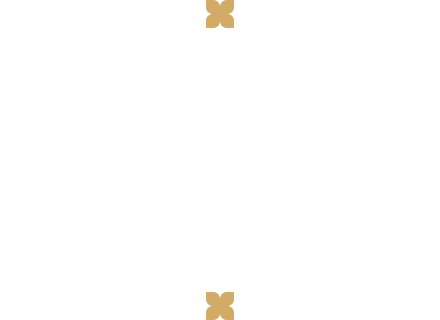left icon